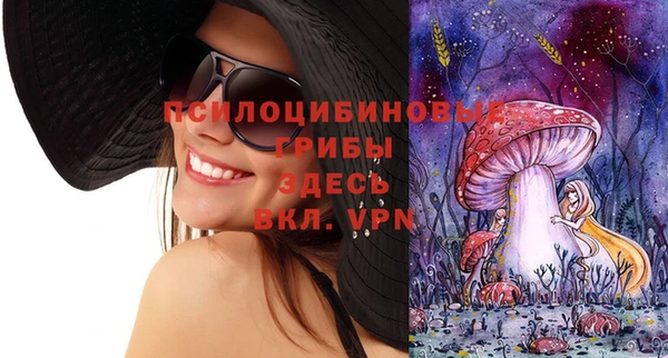 шишки Балахна