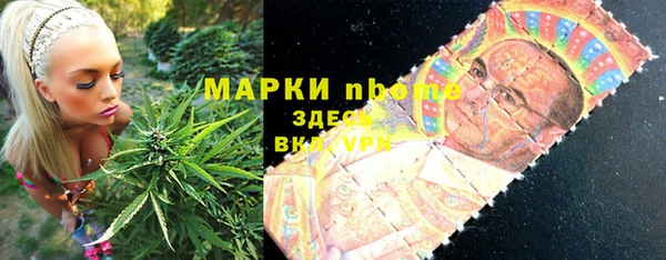шишки Балахна
