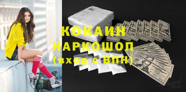 шишки Балахна