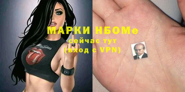 шишки Балахна